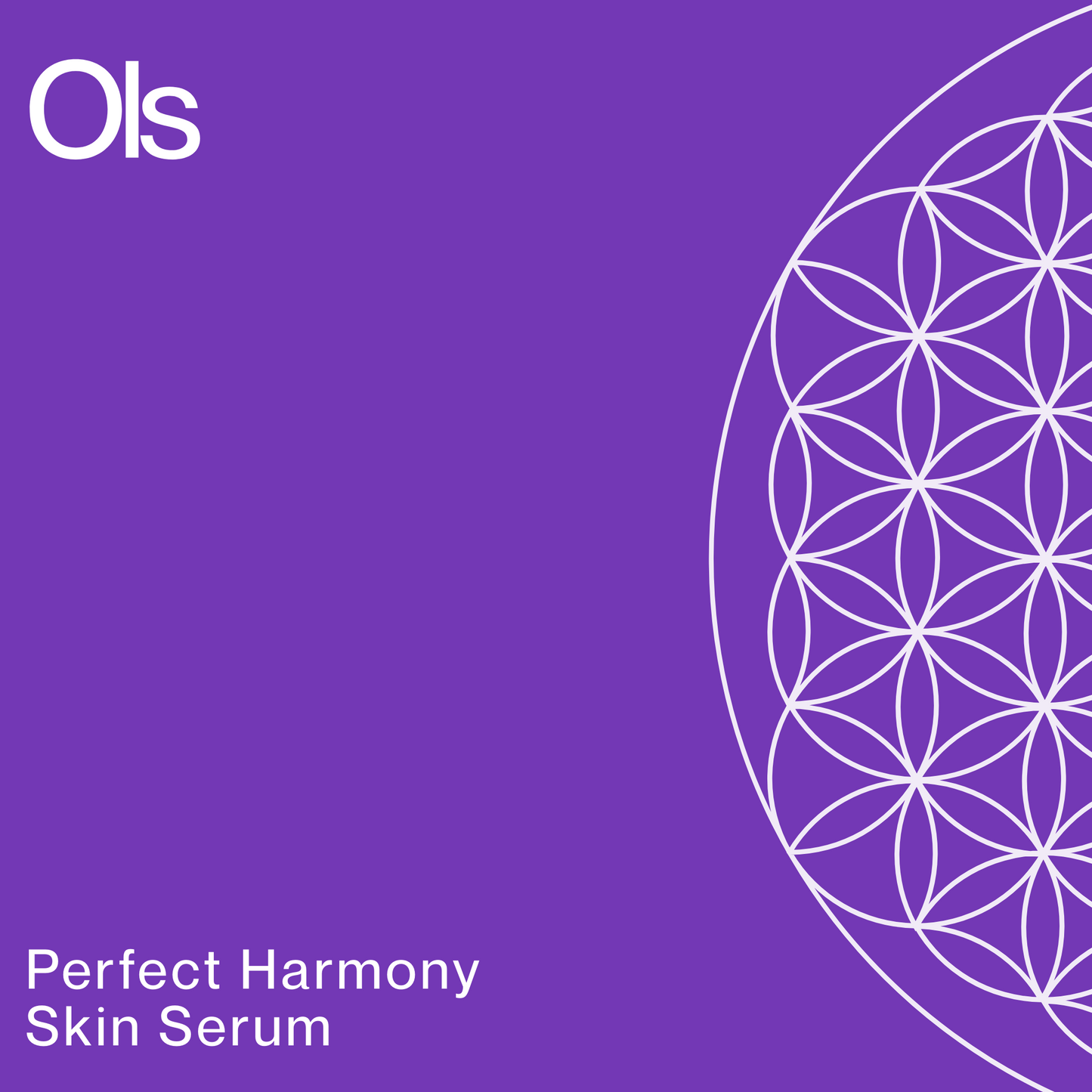Perfect Harmony Skin Serum - 30ml