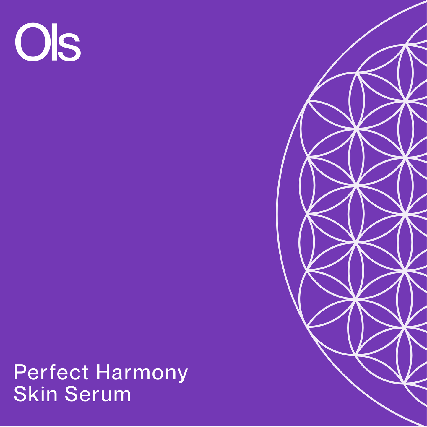 Perfect Harmony Skin Serum - 30ml